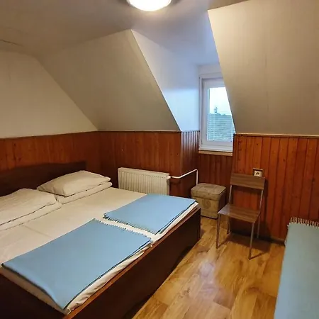 Ssvp 1. Maj ホステル *