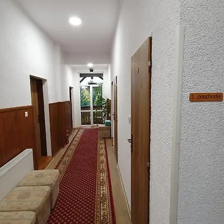 Ssvp 1. Maj * タトランスカ・ ロムニツァ